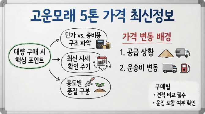 고운모래5톤가격 최신정보와 구매팁 안내